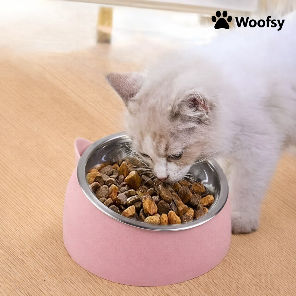 Woofsy Pet Bowl Set – 15° Raised Food & Water Bowls 🐾 (Pack of 2)