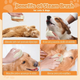 Woofsy 3-in-1 Steam Grooming Brush for Pets – USB Rechargeable Silicone Massage Comb🐾